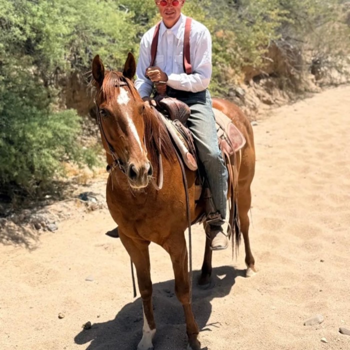 6/S Horsemanship, photo 1