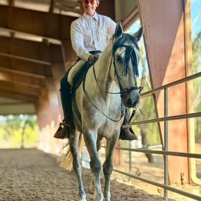 6/S Horsemanship, photo 4