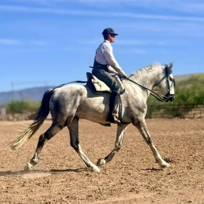 6/S Horsemanship, photo 5