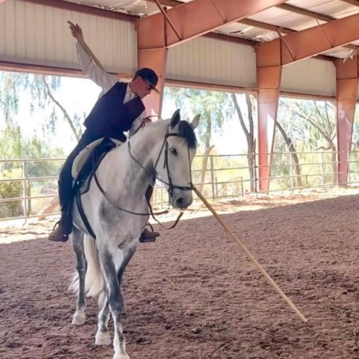 6/S Horsemanship, photo 8