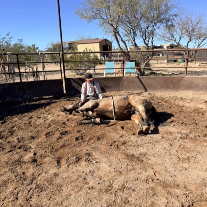 6/S Horsemanship, photo 12