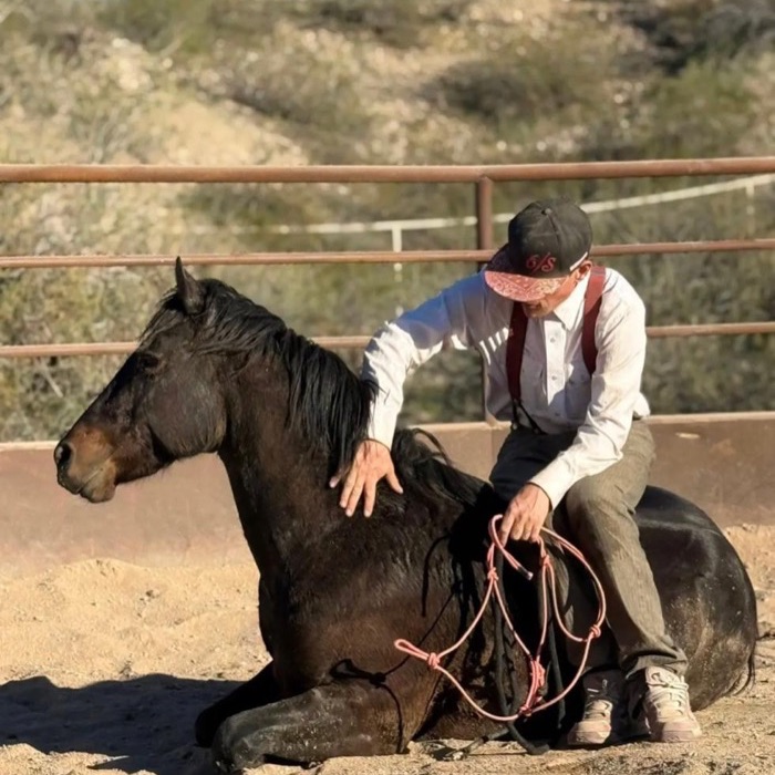 6/S Horsemanship, photo 15